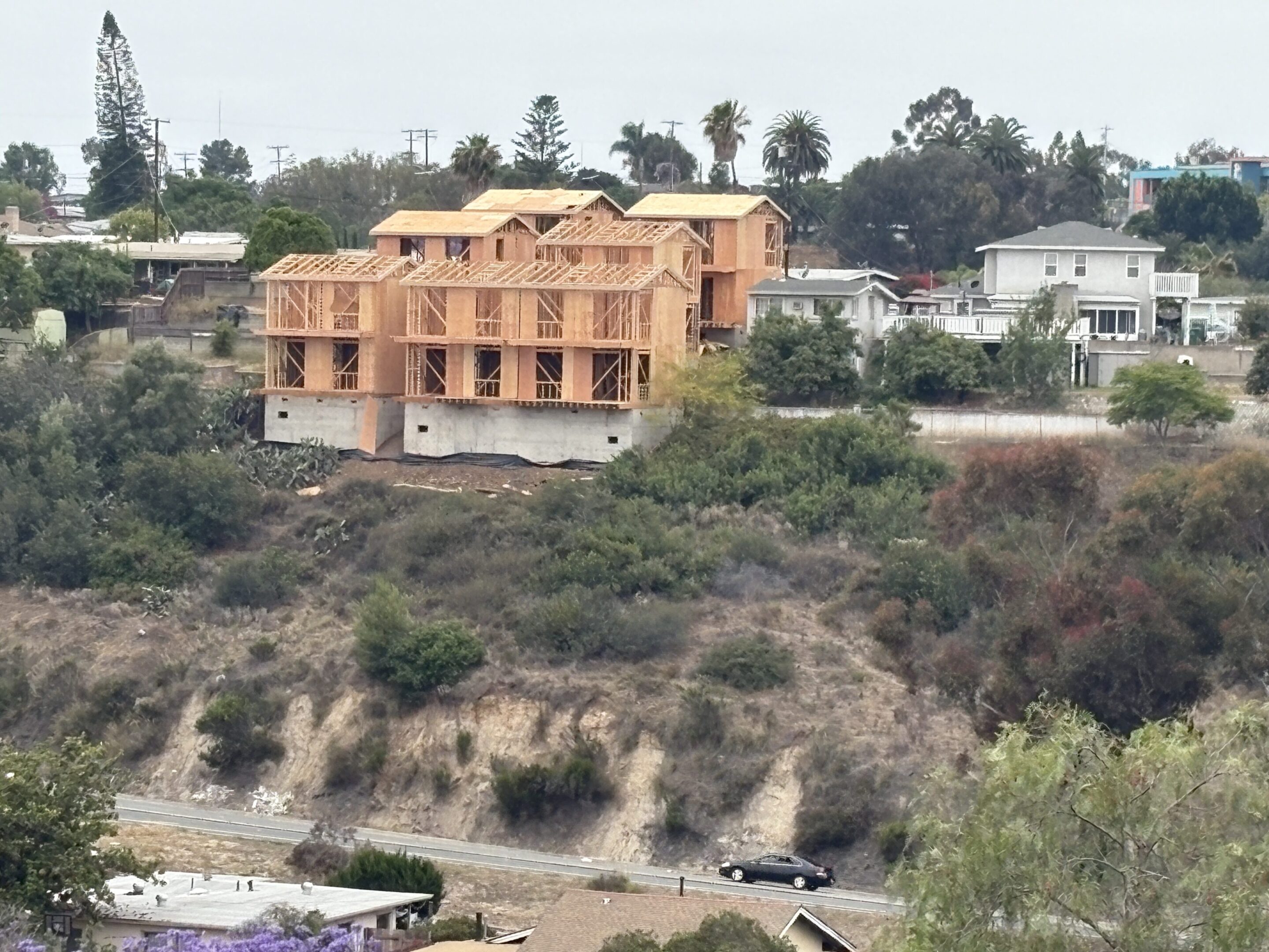 A large unfinished wooden house on a hill with palm trees in the background.