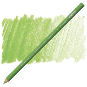 Green colored pencil with a green color swatch.