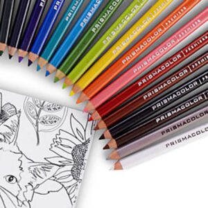 Colored pencils arranged in a rainbow arc over a floral coloring page.