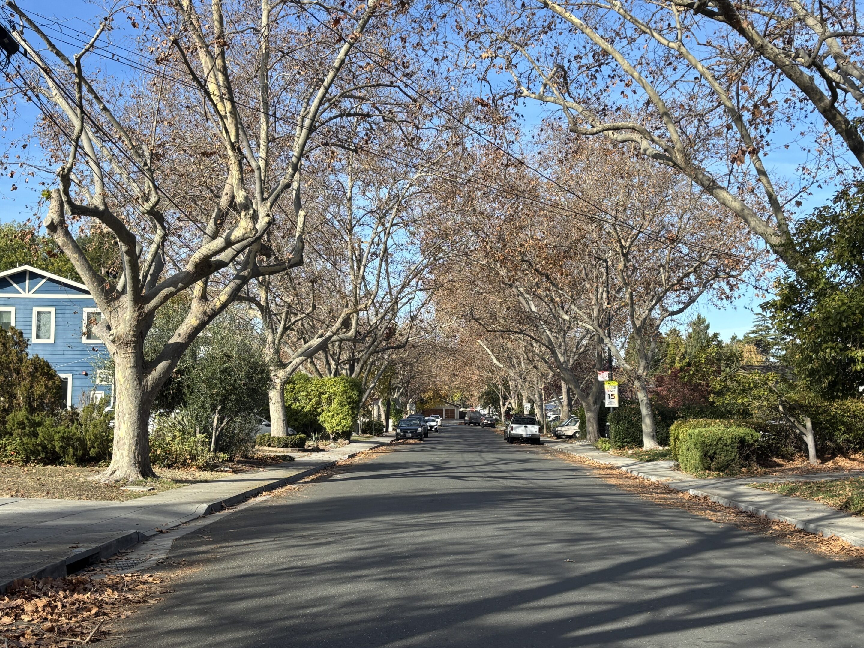 A quiet suburban street lined with leafless trees on a clear day.
