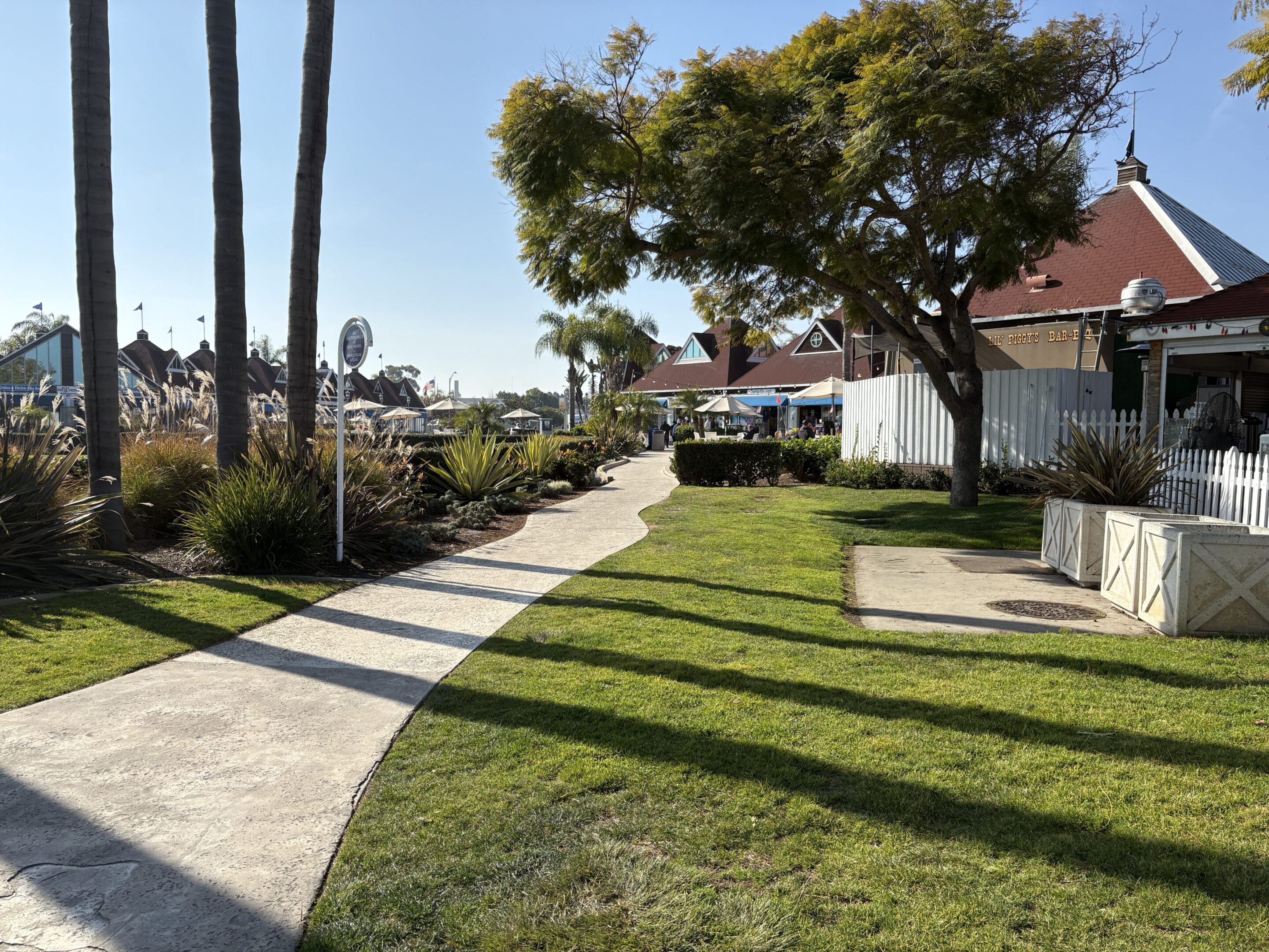 Sunny walkway through a garden with palm trees and cottages.